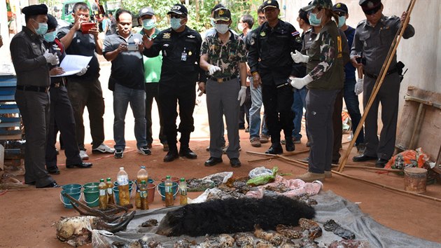 V thajskm chrmu nalezly ady 40 mrtvch tygch mlat. (1. 6. 2016)