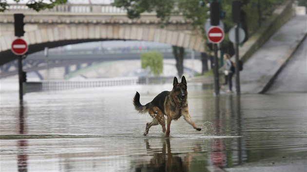 Paříž je v pohotovosti kvůli stoupající Seině (1. června 2016)