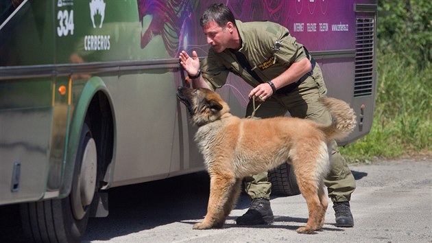 Psi hledali návykové látky během Mezinárodního mistrovství služebních psů celní správy ve vyhledávání drog a tabáku.