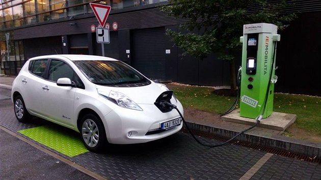 V některých státech mají normy na parkování elektromobilů, které nesmějí stát vedle benzinových aut.