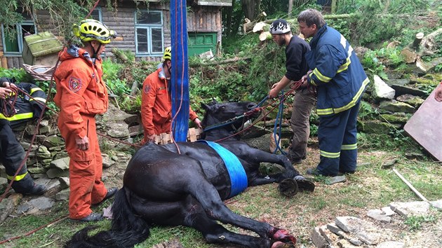 Hasi�i museli v Kru�berku na Opavsku vyt�hnout ze studny dosp�l�ho kon�, kter� do n� spadl a hrozilo, �e se utop�.