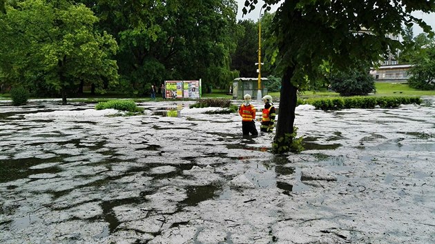 Fotografie Jana Szturce pibliuj, jak vypadal Havov, kdy jej  na Den dt postihl pvalov d隝.