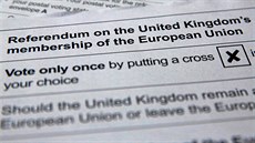 Snímek hlasovacího lístku, kterým budou Britové 23. ervna rozhodovat, zda...