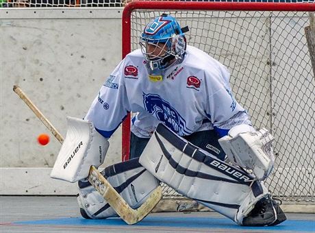 Pardubický branká David Stárek se stal nejuitenjím hráem play-off...