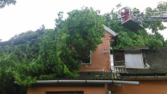 Silný vítr na Jesenicku zlomil strom a jeho ást dopadla na pilehlý rodinný...