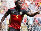 ZA TEBOU B̎ÍM. Forvard Romelu Lukaku utíkal oslavit trefu do sít Irska za...