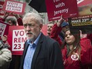 Lídr labourist Jeremy Corbyn bhem setkání s volii ped referendem o...