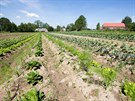 Statek Bemagro v Malontech na Krumlovsku získal cenu Bartákv hrnec pro...