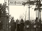 Vchod do olomoucké zoo na Svatém Kopeku v 50. letech v dob jejího otevení