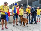 Rumunské fotbalové fanouky oichává ped zápasem s Francií policejní pes.