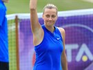 Petra Kvitová slaví vítzství nad Lucií afáovou na turnaji v Birminghamu.