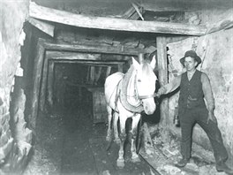 T�ká d�ina ne�ekala v dole ostravsko-karvinského revíru jen lidi. Pod zemí...