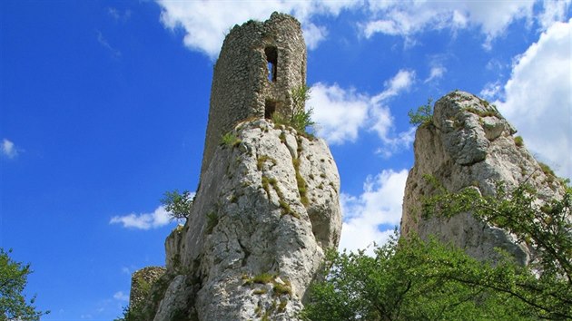 Ze Sirotčího hrádku se do dnešních dob dochovaly zbytky věže a palácového zdiva.