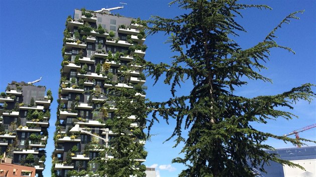 Bosco Verticale v Miláně, obyvatelé dvou cenami ověnčených mrakodrapů mají doma zahradu i les.