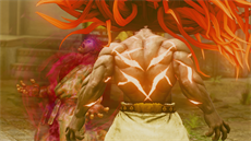 Street Fighter V: A Shadow Falls