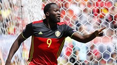 ZA TEBOU B̎ÍM. Forvard Romelu Lukaku utíkal oslavit trefu do sít� Irska za...