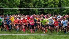 Craft RUNGO b�h Borským parkem v Plzni 2016.