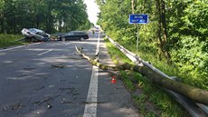 Spadlý strom zavinil nehodu dvou aut u Petvaldu na Novojiínsku.