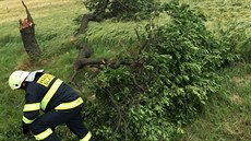 Hasii zasahovali napíklad u spadlého stromu v obci Slatina.
