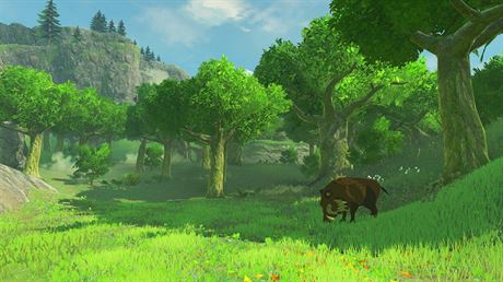 The Legend of Zelda: Breath of the Wild