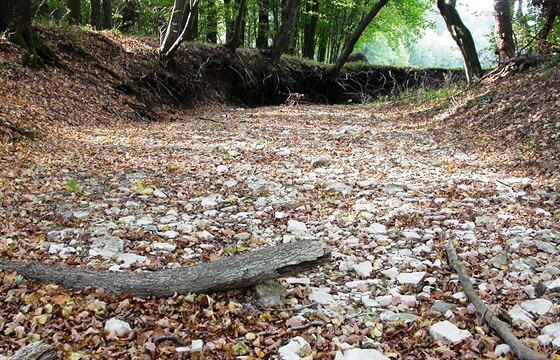 Vyschlé koryto potoka Járkovce v Bílých Karpatech
