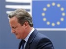 Britský premiér David Cameron pijídí na jednání o brexitu v Bruselu. (28....