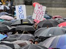 Pznivci setrvn Britnie v EU demonstruj na londnskm nmst Trafalgar...