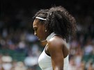 Americká tenistka Serena Williamsová se soustedí bhem 1. kola Wimbledonu.