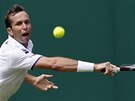 eský tenista Radek tpánek bojuje v 1. kole Wimbledonu.