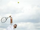Argentinský tenista Juan Martín Del Potro se vrátil ve Wimbledonu na grandslam...