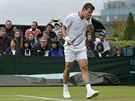 eský tenista Tomá Berdych zachycen bhem dohrávky 1. kola Wimbledonu.