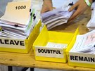 V Británii probíhá sítání hlas (24. ervna 2016)