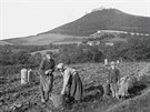 Fotografie zhruba z roku 1888 zachycuje hrad Starý Jiín v Moravskoslezském...