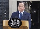 Britsk premir David Cameron oznmil, e kvli brexitu na podzim rezignuje....