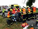 Krom sráky v Brn zasahovali hasii v pondlí u nkolika dalích nehod....