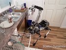 Malý tynohý robot zvládá i pomoc v domácnosti - dokáe dát skleniku do myky...