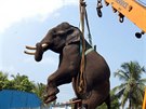 V roce 2009 Indové pomocí jeábu zachraovali slona, který utekl z místního...