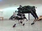 Srovnání Alpha Dog a Spotmini od Boston Dynamics