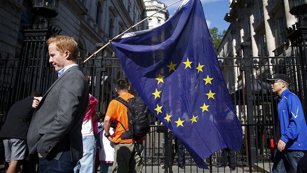 Jeden z podporovatelů setrvání Velké Británie v EU na londýnské Downing Street (24. června 2016)