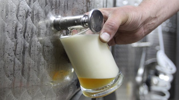 Kontejnerový pivovar vznikal na dvoře pivovaru v Chlumu na Třebíčsku. Stačí připojit vodu, elektřinu a kanalizaci a může fungovat. Klasický ležák je hotový za čtyři až šest týdnů.