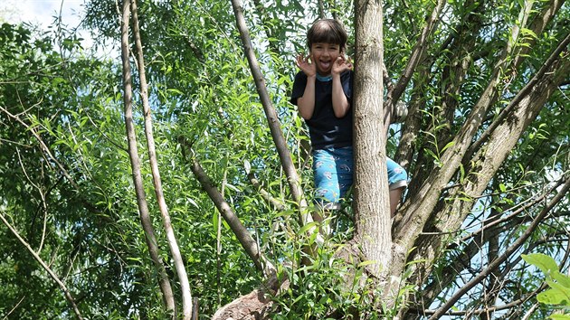 Děti v lesní školce tráví venku prakticky celý den. Kromě organizovaného programu mají prostor i pro volné hraní.
