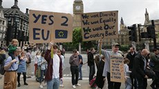 Demonstrace proti výsledkm britského referenda v Londýn (25. ervna 2016)