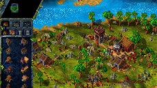 The Settlers III