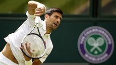 Srbský tenista Novak Djokovi hraje v 1. kole Wimbledonu.