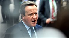 Britský premiér David Cameron na pracovní veei v Bruselu jednal se svými...