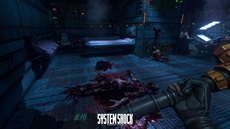 System Shock (reboot)