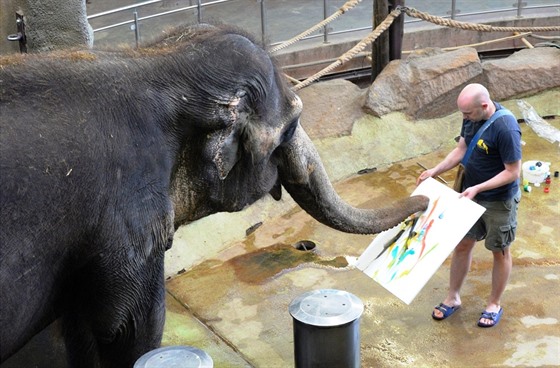 Ústecká slonice Delhi pi malování obraz.