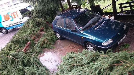 Vichr lámal v Jablonci nad Nisou stromy (2. ervence 2016)