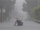 Tajfun Nepartak se prohnal nejprve pes Filipíny, kde zatopil pedmstí...