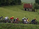 Cyklisté bhem 2. etapy Tour de France.